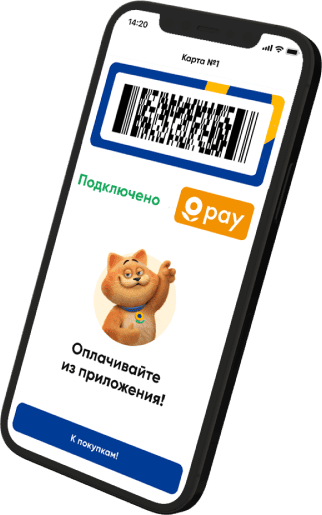 Приложение Lenta Pay